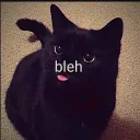 bleh!