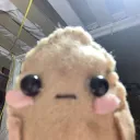 ✿𝒌𝒊𝒕𝒕𝒊𝒆𝒔 𝒍𝒐𝒗𝒆 𝒄𝒂𝒇𝒆 ✿