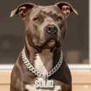 GunSkill DOJO discord icon