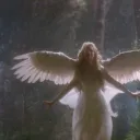 ARK ANGELS FIBER PVE