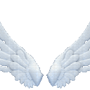 ARK ANGELS FIBER PVE