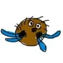 Cocosquid Market