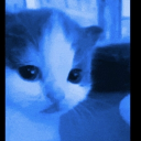 #NSFW rehabilitasyon