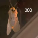 〜☆｛ｍｏｔｈ｝Σ('◉⌓◉’)