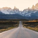 ♥♦ 𝙵𝚕𝚘𝚠𝚎𝚛𝚜 ♧♤ Discord server icon