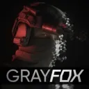 Gray Fox