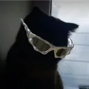 catgirlvv