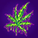 HOTBOX │The Towns