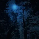 ☾⋆⁺₊ 𝑴𝒊𝒅𝒏𝒊𝒈𝒉𝒕 𝑬𝒄𝒍𝒊𝒑𝒔𝒆 ₊⁺⋆☽