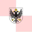 Empyrean Royal Vanguard Banner