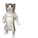 𝖇𝖊𝖊 𝖎𝖓 𝖙𝖍𝖊 𝖌𝖆𝖋𝖋 — 🐝 Discord server icon