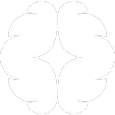 Cerebro