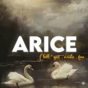 Arice ™ ||  Social  .   Events... Discord Server Icon