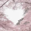 >mochi<