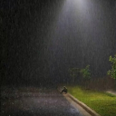 Life Discord server icon