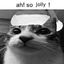 🫡 Cats