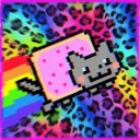 SCENEKIDZUNITED