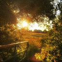 The Blinding Light Of Hope.
