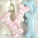 The pet place Discord server icon