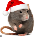 🎅𝗭𝗶𝗼𝗺𝗸𝗶 𝗝𝗮𝗸𝘂𝗯𝗶𝗸𝗮  𝐈 𝐳𝐚𝐛𝐨𝐣𝐜𝐲🎅