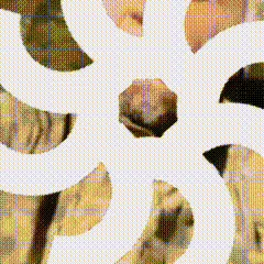 Велик Империя Понистан — мониторинг Discord сервера, статистика и рейтинг