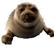 Not Really: Discord Server
