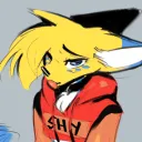 The H Server~