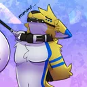 The H Server~