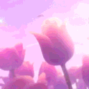 ♡𝘚𝓌𝑒𝑒𝓉 𝘚𝓅𝑜𝓉 𝒞𝒶𝒻𝑒 ♡