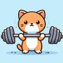 Fitness Zone