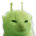 Vov's Server