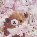 𝓑𝓵𝓸𝓼𝓼𝓸𝓶’𝓼 ❀˖° Discord server icon