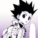 ハンター×ハンター: HunterX