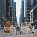 kitty city smp