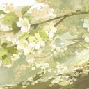 ρlαɳtρσt ⸝⸝ chatting , social , gaming