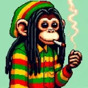 Server icon