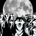 TheWolfPack