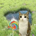 MeowlGang 🍦 ˚⋆
