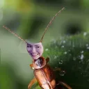 BUGS [21+]