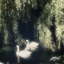 ࣪ ִֶָ☾.  𝙽𝚊𝚝𝚞𝚛𝚎𝚢 srvr  ּ ֶָ֢.