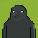 Corvid