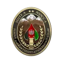 Task Force “Grey” | NSOCC - A