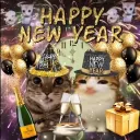 🎉MEOWL HUB : Community🎆