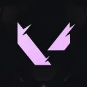 Discovery icon for Custom VALORANT Discord server