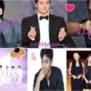 KDRAMA/KPOP🐱AmiDesAnimaux