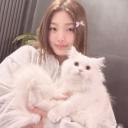 🩰ྀི  𝒀᥆᥆ᥒᥴһᥲᥱs һᥲᥒg᥆ᥙ𝗍  #RVMP