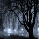 Willow Discord server icon