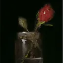 audrinagg's server