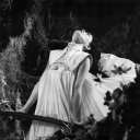 Not For Radio Discord server icon