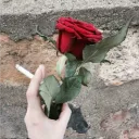БЕЗ ГАЛСТУКОВ